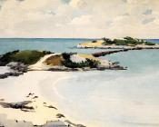 温斯洛 荷默 : Gallow's Island, Bermuda